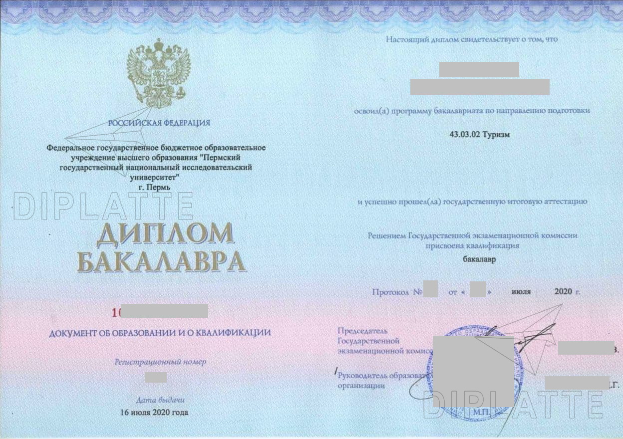 Диплом бакалавра ПГНИУ направления