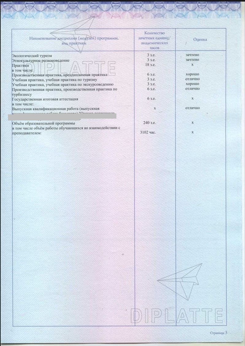 Защита и практики в приложении диплома бакалавра направления Туризм ПГНИУ 2020